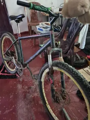 Lemond Bicycle