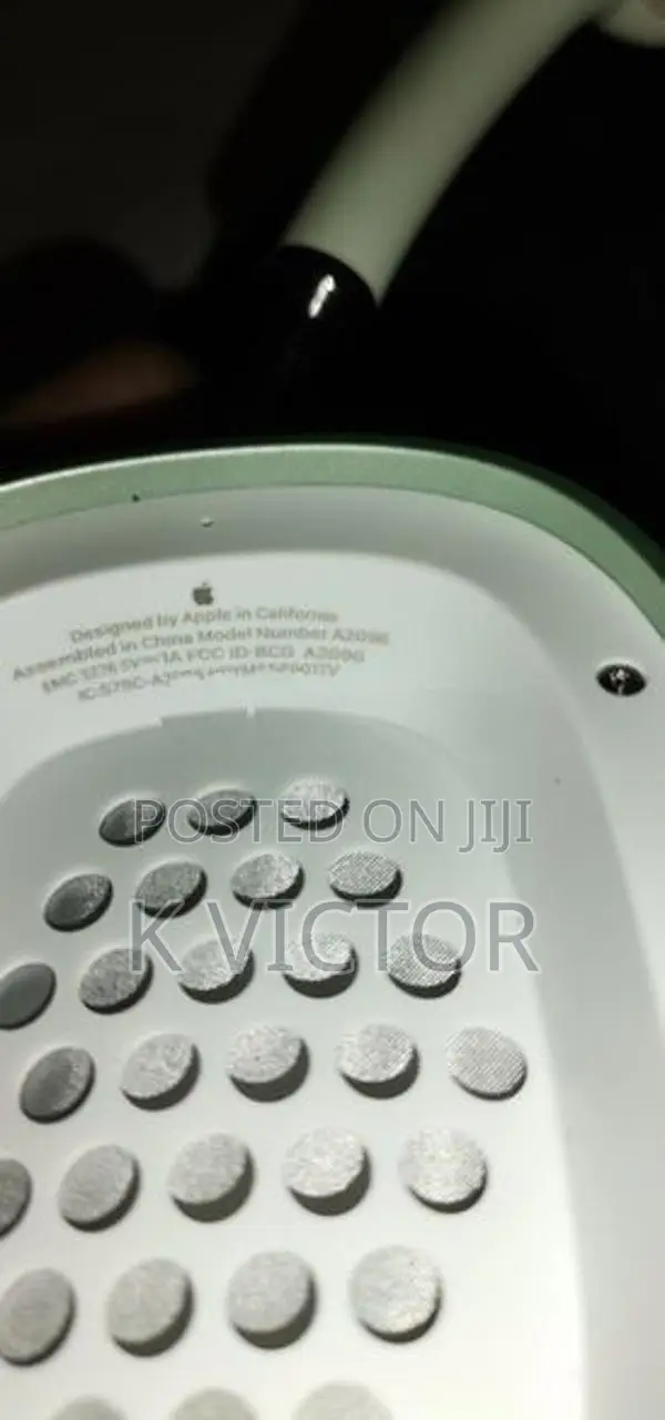Apple Headphones