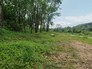 හෝමාගම තලගල බිම් කොටස් විකිණීමට