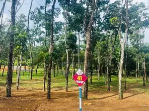 හොරන බැල්ලපිටිය වටිනා නේවාසික බිම්කොටස් විකිනීමට