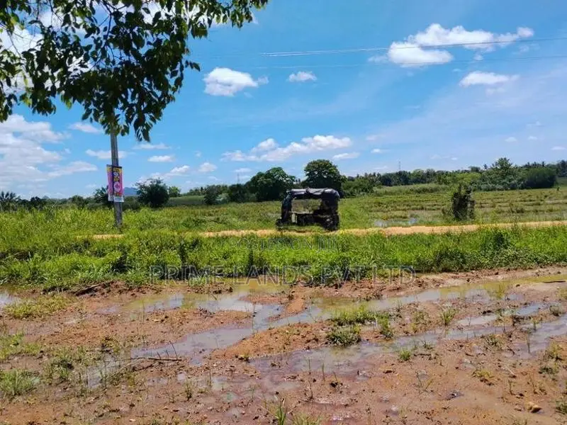 අනුරාධපුර බිම්කොටස් නාච්චාදූව පාරෙන්