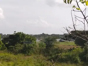 Land For Sale In Anuradhapura Puththalam Road