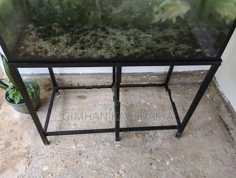 3FT Complete Aquarium Set