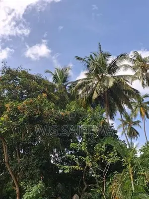 Land with House Sale in Godigamuwa