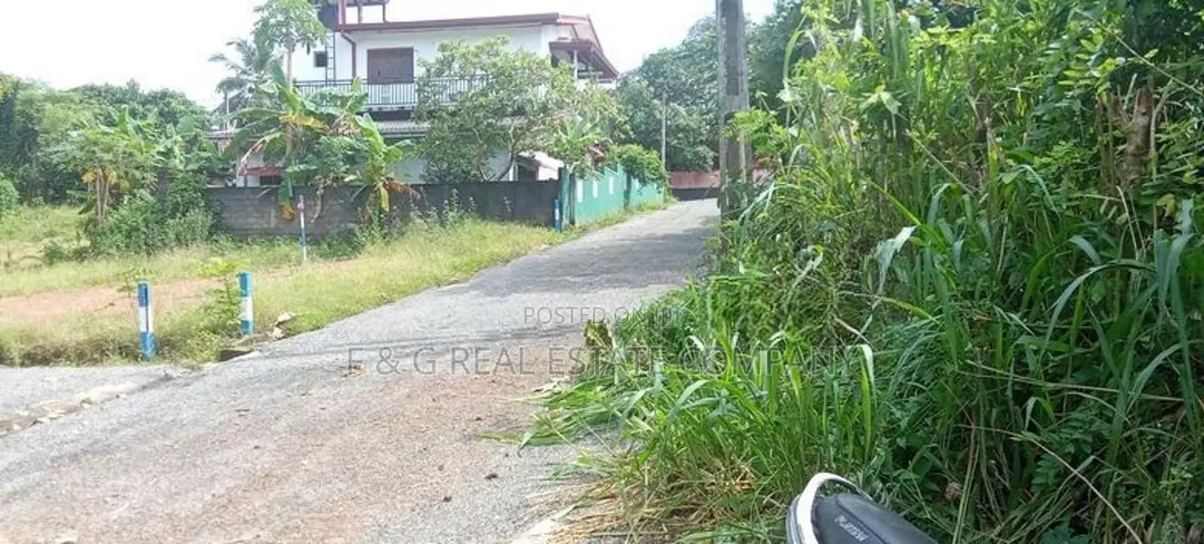Palatota Land for Sale