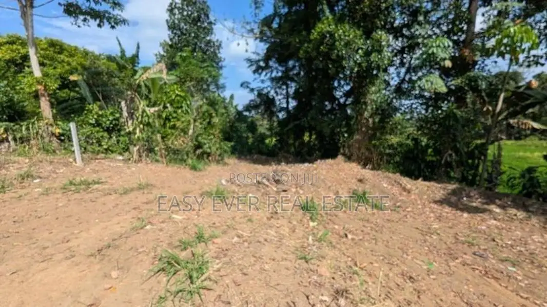 kosgama වෙල්යායකට මුහුණලා සුපිරි ඉඩමක් විකිණීමට