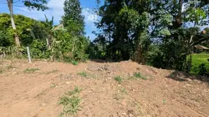 kosgama වෙල්යායකට මුහුණලා සුපිරි ඉඩමක් විකිණීමට