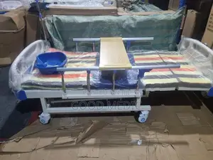 Four Function Manual Beds with Sanitory