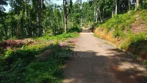 Land for Sale in Nelumdeniya