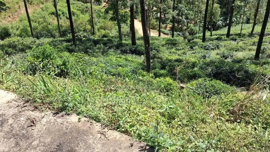 Land For Sale In Pussellawa