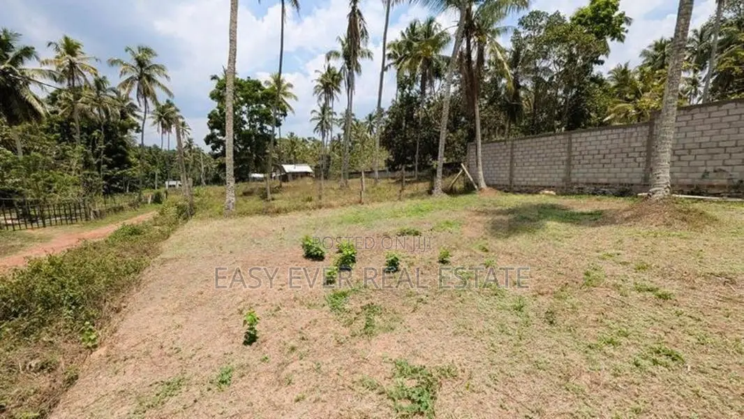 මීගමුව මීරිගම පාරට මීටර් 300 ඉඩමක් විකිණීමට