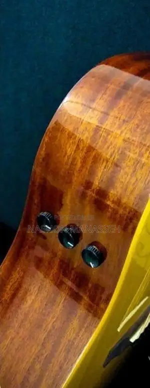 Starsun Semi Accoustic Guitar