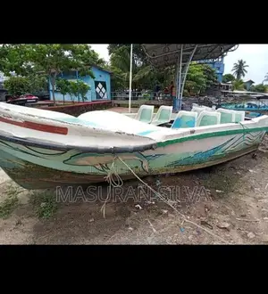 Tourist Boat