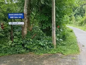 Land for Sale in Horana