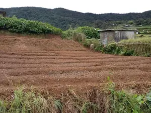Nuwaraeliya - Beautiful Location 17 Perches Land For Sale