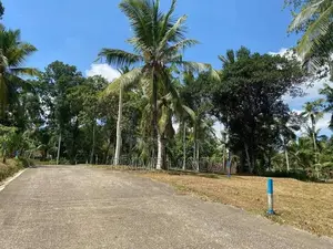 මීගමුව මීරිගම පාරෙන් වටිනා ඉඩමක්