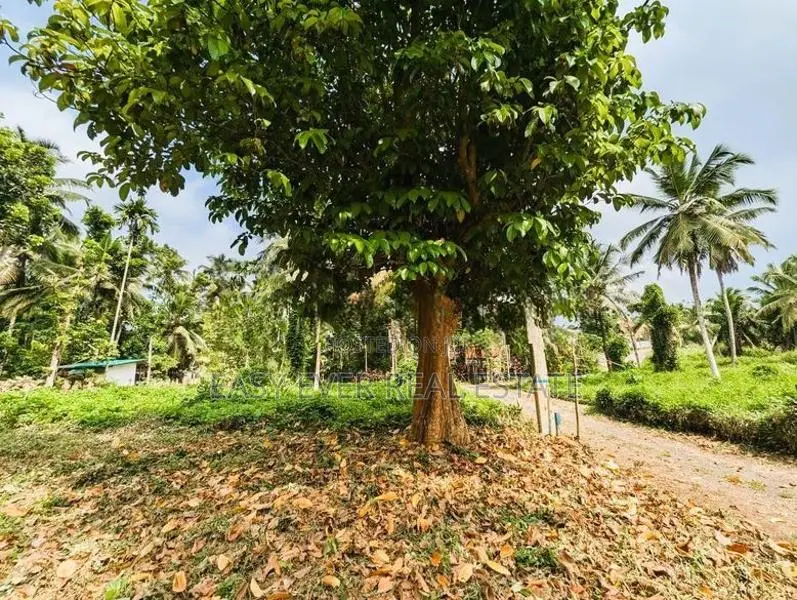 Land for Sale Wathurugma