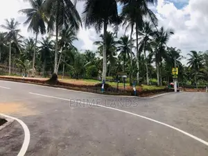 හොරන බිම්කොටස්