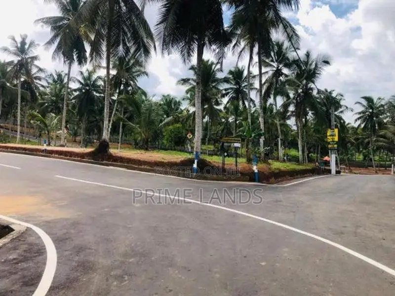 හොරන බිම්කොටස්