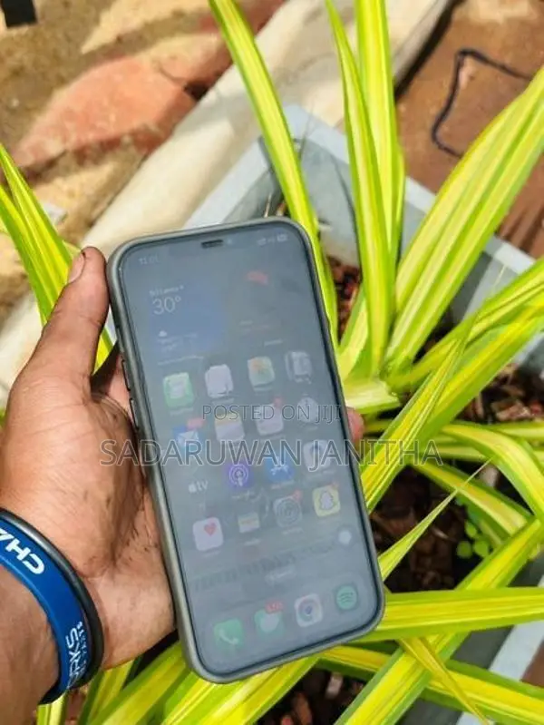 Apple iPhone 12 Pro Max 256GB (Used)