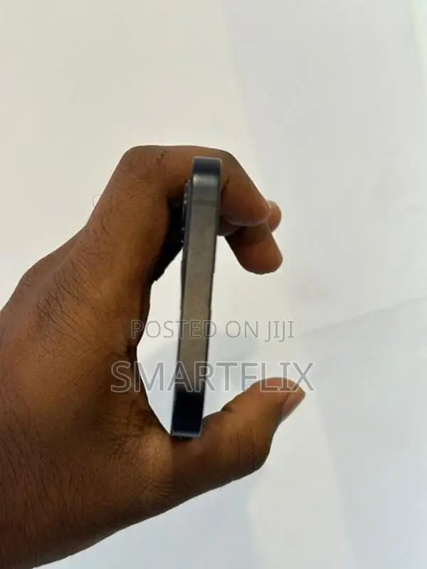 Apple iPhone 12 (Used)