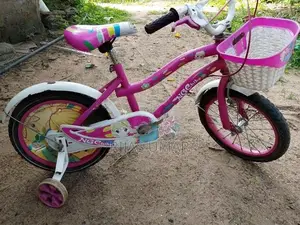 NGE Bike