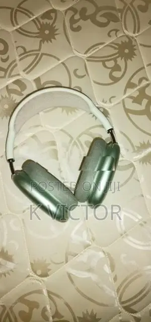Apple Headphones