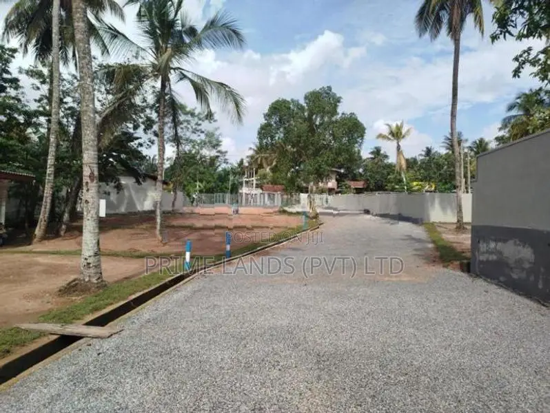 හෝමාගම බිම් කොටස් විකිණීමට