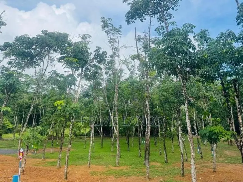 බැල්ලපිටිය වල්පිට පාරෙන් වටිනා බිම්කොටස්