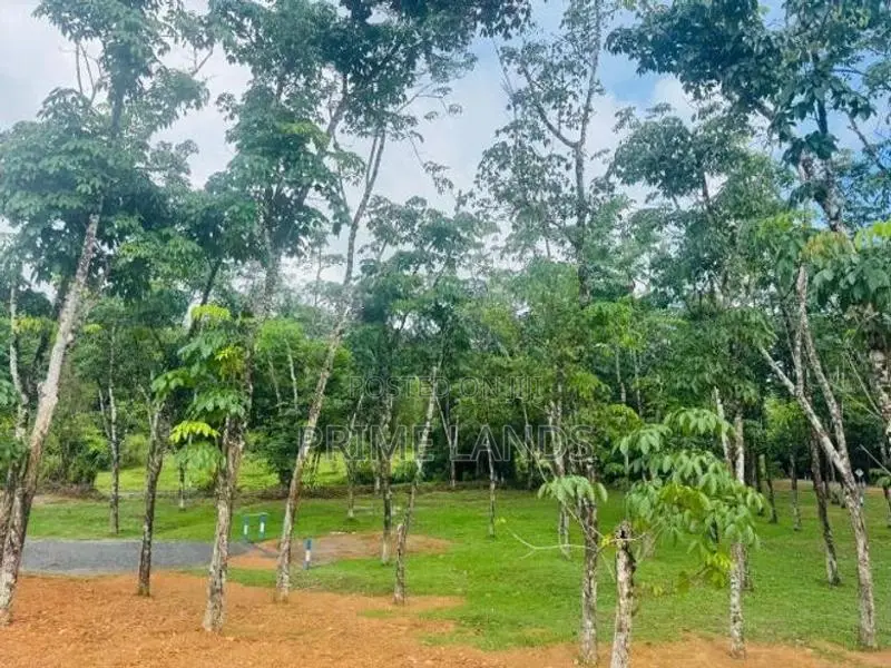 හොරන බැල්ලපිටිය වටිනා නේවාසික බිම්කොටස් විකිනීමට