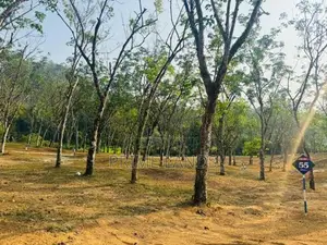 Land for Sale Horana
