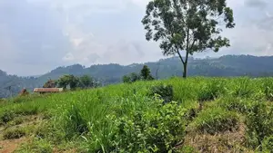 Land for sale in Pussellawa