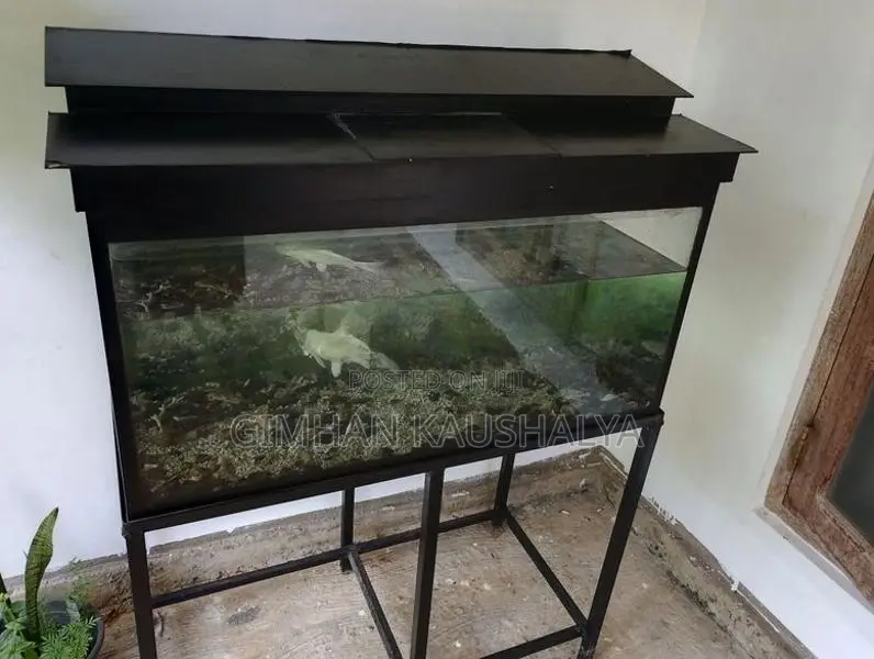 3FT Complete Aquarium Set