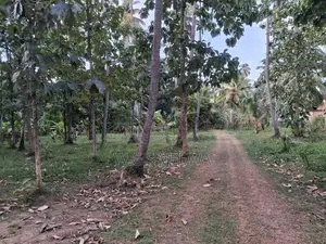 Land with House Sale in Godigamuwa