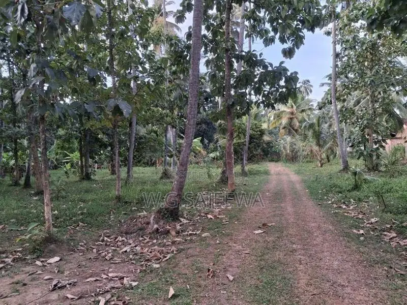 Land with House Sale in Godigamuwa