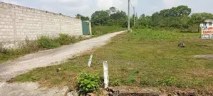 Palatota Land for Sale