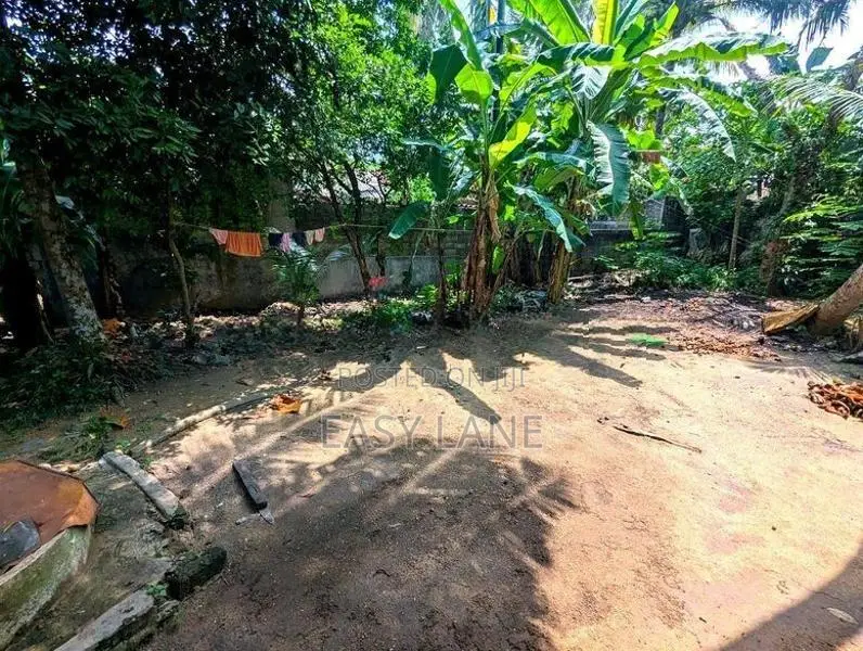 වේයන්ගොඩ බිම්කොටසක්