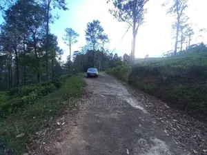 Land For Sale In Pussellawa