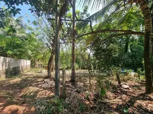 මීරිගම නගරයට සහ අධිවේගී පිවිසුමට සමීපව වටිනා ඉඩමක්
