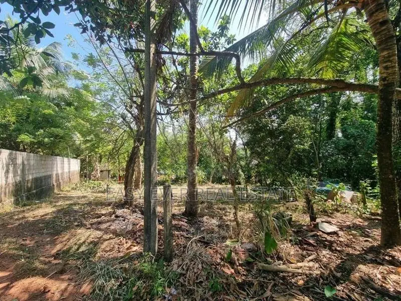 මීරිගම නගරයට සහ අධිවේගී පිවිසුමට සමීපව වටිනා ඉඩමක්