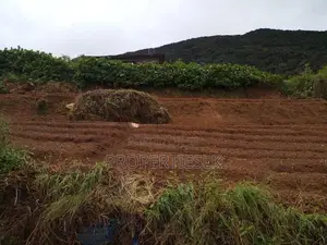 Nuwaraeliya - Beautiful Location 17 Perches Land For Sale