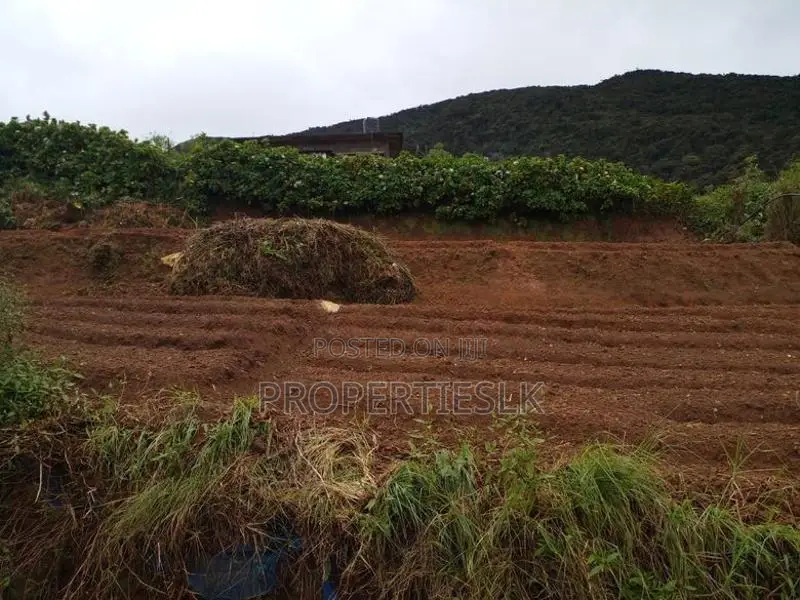 Nuwaraeliya - Beautiful Location 17 Perches Land For Sale