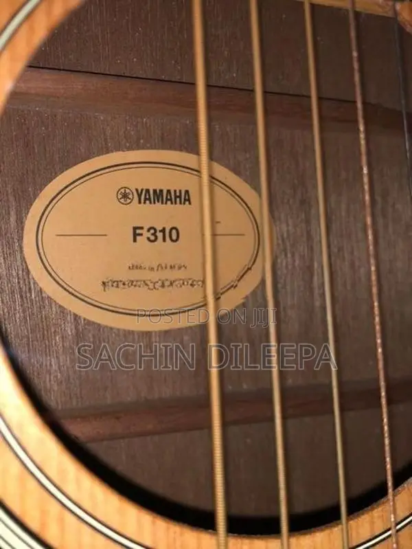 Yamaha F310