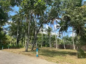මීගමුව මීරිගම පාරෙන් වටිනා ඉඩමක්