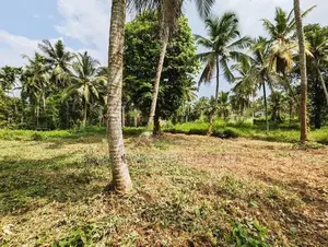 Land for Sale Wathurugma