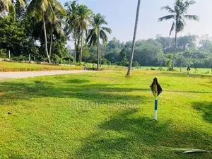 Land for Sale in Horana Munagama