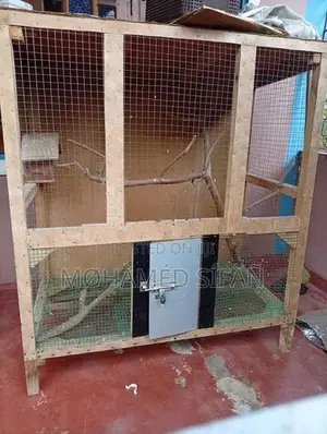Bird Cage