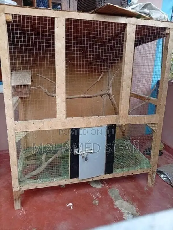 Bird Cage