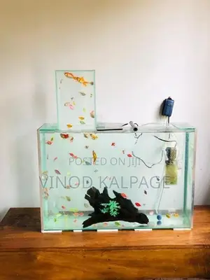 Fish Tank