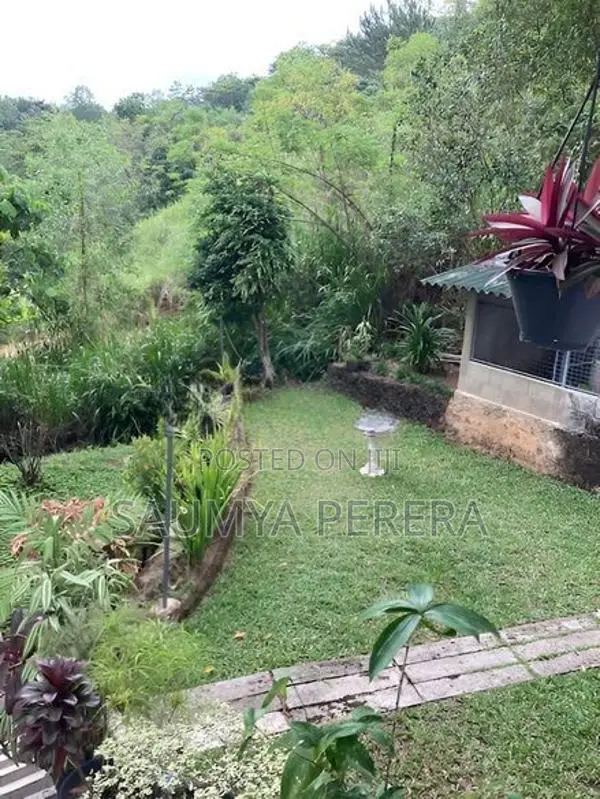 Hilltop Furnished House with 180° Panoramic Views – Mahakanda, Kandy